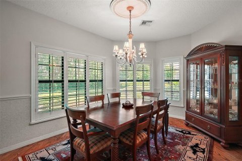 Casa en venta en Mount Dora, Florida, 3 dormitorios, 213.21 m2 № 1721250 - foto 10
