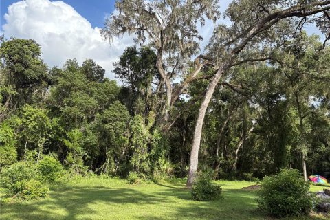 Купить земельный участок в Ноблтон, Флорида № 1916293 - фото 6