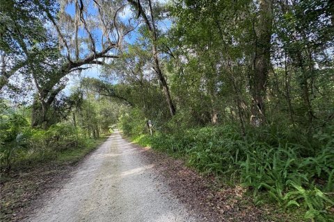 Купить земельный участок в Ноблтон, Флорида № 1916293 - фото 27