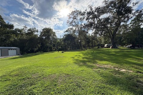 Купить земельный участок в Ноблтон, Флорида № 1916293 - фото 12