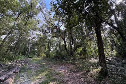 Купить земельный участок в Ноблтон, Флорида № 1916293 - фото 16