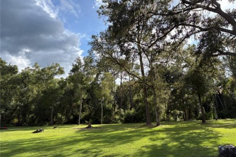 Купить земельный участок в Ноблтон, Флорида № 1916293 - фото 3