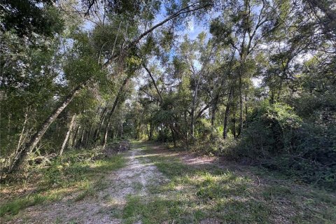 Купить земельный участок в Ноблтон, Флорида № 1916293 - фото 17