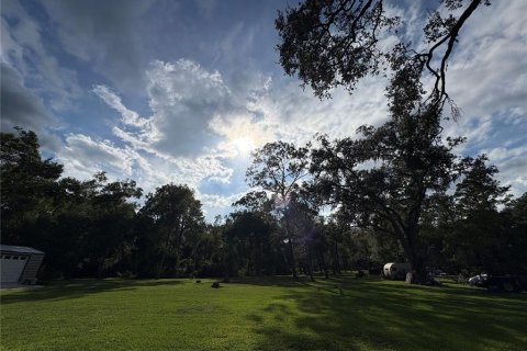 Купить земельный участок в Ноблтон, Флорида № 1916293 - фото 8