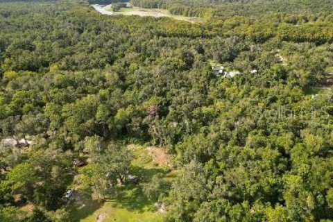 Купить земельный участок в Ноблтон, Флорида № 1916293 - фото 1