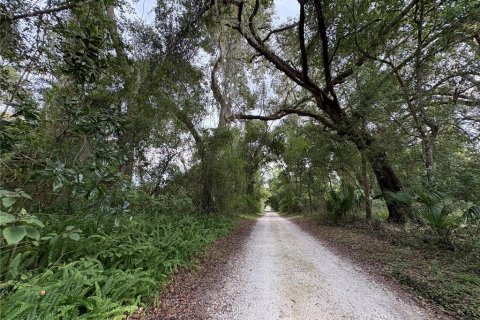 Купить земельный участок в Ноблтон, Флорида № 1916293 - фото 26