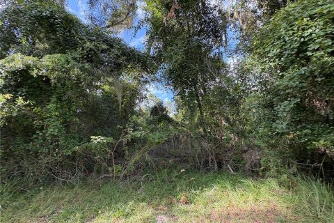 Купить земельный участок в Ноблтон, Флорида № 1916293 - фото 24