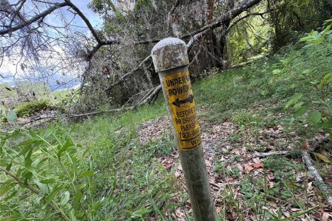 Купить земельный участок в Ноблтон, Флорида № 1916293 - фото 23