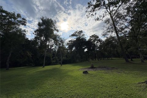 Купить земельный участок в Ноблтон, Флорида № 1916293 - фото 11