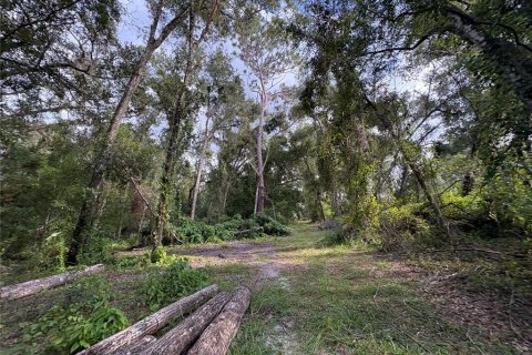 Купить земельный участок в Ноблтон, Флорида № 1916293 - фото 18