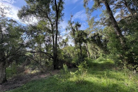 Купить земельный участок в Ноблтон, Флорида № 1916293 - фото 21