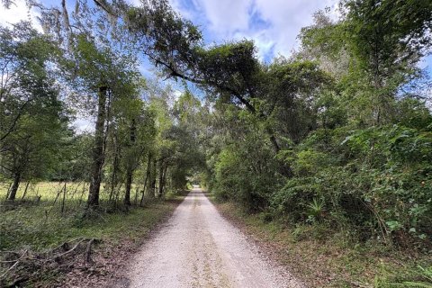 Купить земельный участок в Ноблтон, Флорида № 1916293 - фото 30