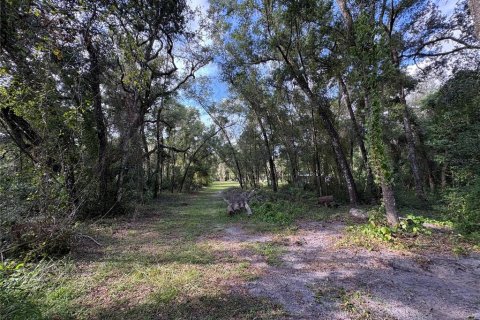 Купить земельный участок в Ноблтон, Флорида № 1916293 - фото 20