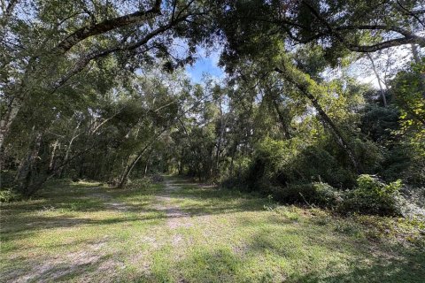 Купить земельный участок в Ноблтон, Флорида № 1916293 - фото 15