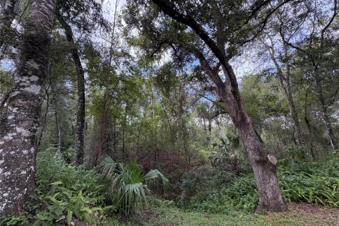 Купить земельный участок в Ноблтон, Флорида № 1916293 - фото 9