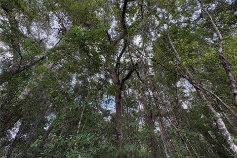 Купить земельный участок в Ноблтон, Флорида № 1916293 - фото 28