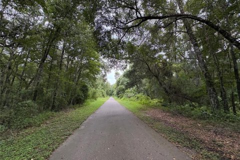 Купить земельный участок в Ноблтон, Флорида № 1916293 - фото 5