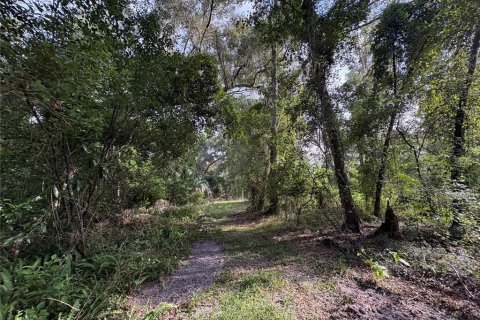 Купить земельный участок в Ноблтон, Флорида № 1916293 - фото 19