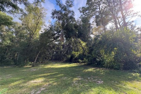 Купить земельный участок в Ноблтон, Флорида № 1916293 - фото 4