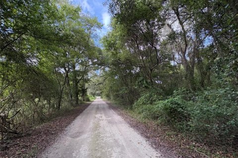 Купить земельный участок в Ноблтон, Флорида № 1916293 - фото 29