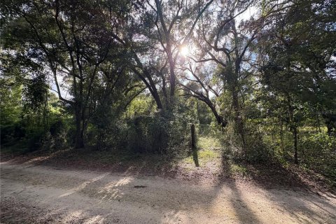 Купить земельный участок в Ноблтон, Флорида № 1916293 - фото 25