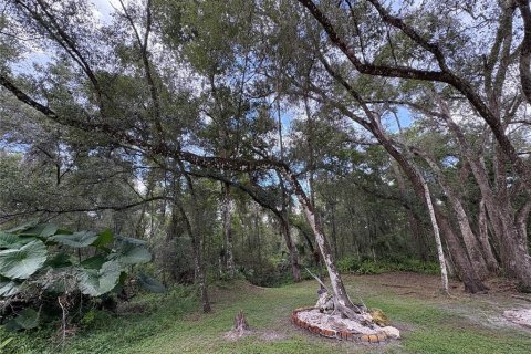 Купить земельный участок в Ноблтон, Флорида № 1916293 - фото 10