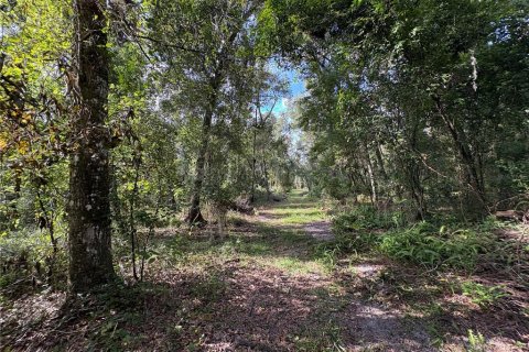 Купить земельный участок в Ноблтон, Флорида № 1916293 - фото 22