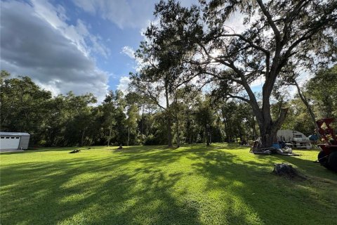 Купить земельный участок в Ноблтон, Флорида № 1916293 - фото 2