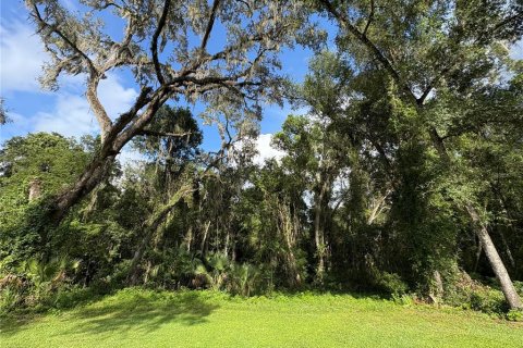 Купить земельный участок в Ноблтон, Флорида № 1916293 - фото 7