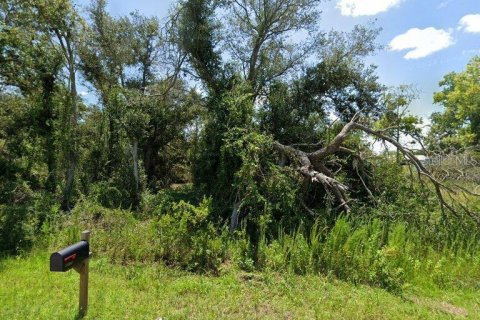 Land in Punta Gorda, Florida № 2161396