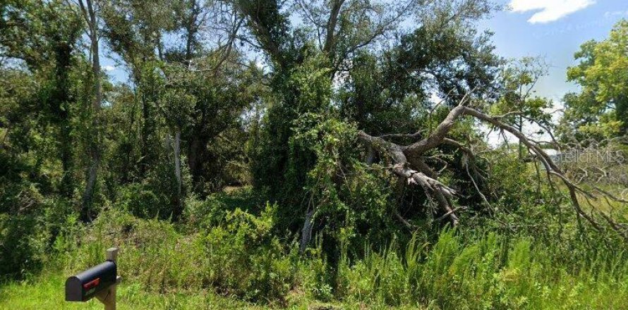 Land in Punta Gorda, Florida № 2161396