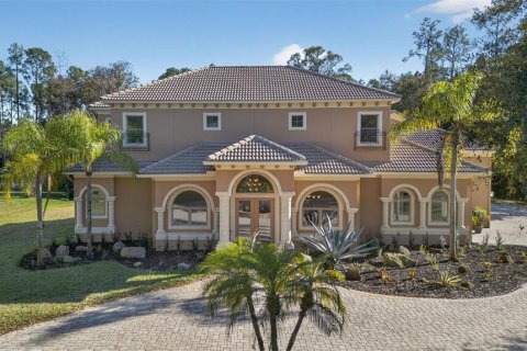 Villa ou maison à Orlando, Floride 7 chambres, 588.72 m2 № 2142129