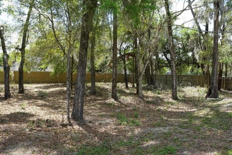 Terrain à vendre à Gainesville, Floride № 2155699 - photo 4