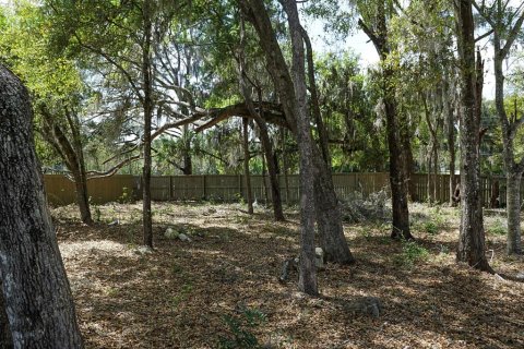 Terrain à vendre à Gainesville, Floride № 2155699 - photo 5