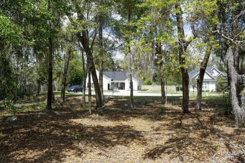 Terrain à vendre à Gainesville, Floride № 2155699 - photo 7