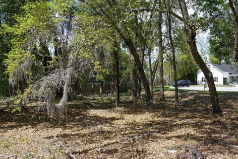 Terrain à vendre à Gainesville, Floride № 2155699 - photo 6