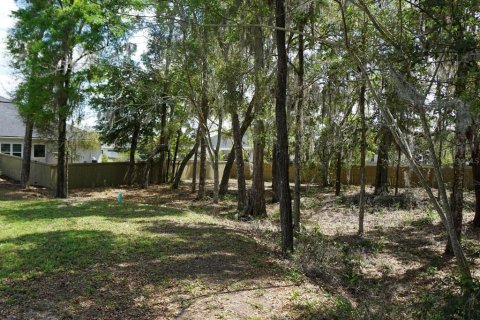 Terrain à vendre à Gainesville, Floride № 2155699 - photo 3