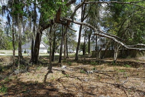 Terrain à vendre à Gainesville, Floride № 2155699 - photo 8