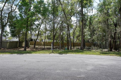 Terrain à vendre à Gainesville, Floride № 2155699 - photo 2