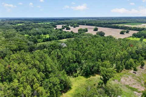 Terrain à vendre à Newberry, Floride № 2221892 - photo 23