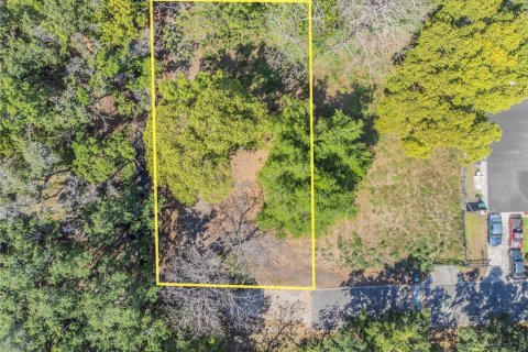 Terreno en venta en Orlando, Florida № 1615848 - foto 2