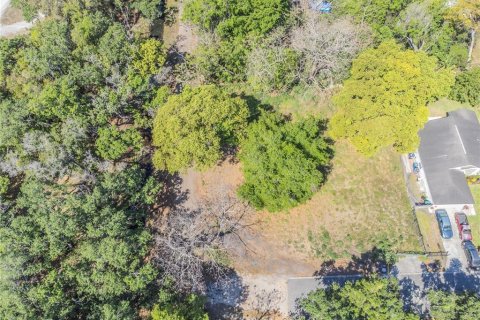 Terreno en venta en Orlando, Florida № 1615848 - foto 5
