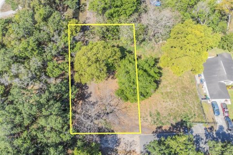 Terreno en venta en Orlando, Florida № 1615848 - foto 4