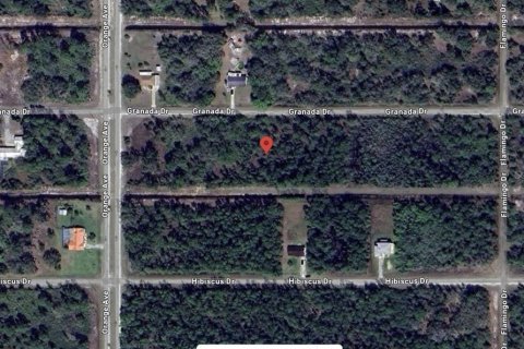 Land in Indian lake estates, Florida № 2228936 - photo 3