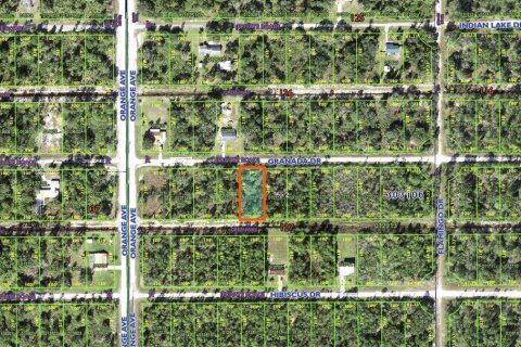 Land in Indian lake estates, Florida № 2228936 - photo 2