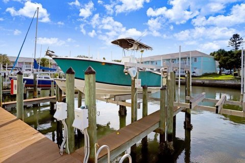 Condo in Saint Petersburg, Florida, 2 bedrooms  № 2144594 - photo 21