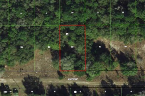 Land in Inverness, Florida № 2341768