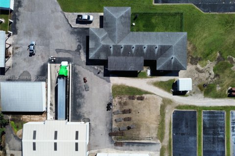 Villa ou maison à vendre à Homestead, Floride: 5 chambres, 733.56 m2 № 2004372 - photo 3