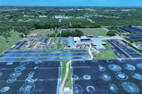 Villa ou maison à vendre à Homestead, Floride: 5 chambres, 733.56 m2 № 2004372 - photo 5