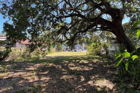 Terrain à vendre à Miami, Floride № 2050929 - photo 4
